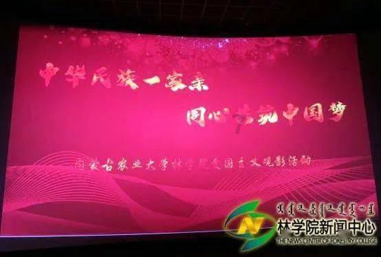 神奇小子龙之陷阱
